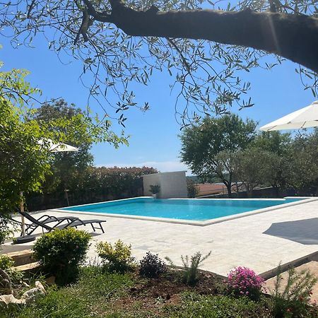 Apartments Fra & Mar With Swimming Pool In 2025 Sorici Екстер'єр фото